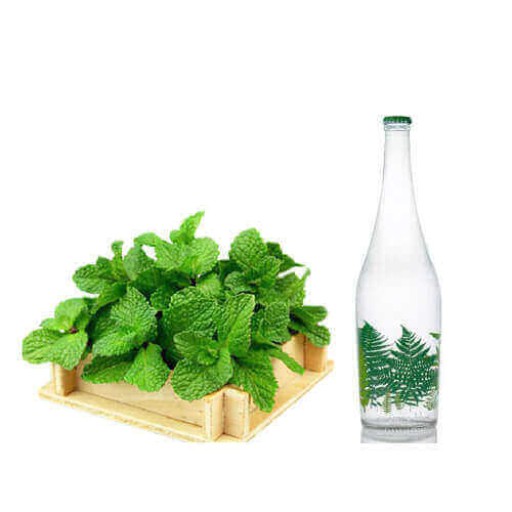  عکس عرق نعناع